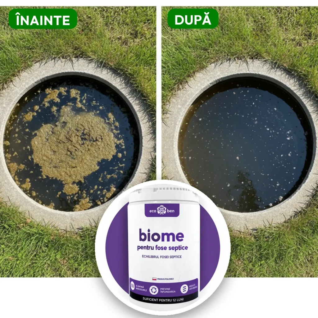 Înainte și după: BioMe Septic Tank Balance
